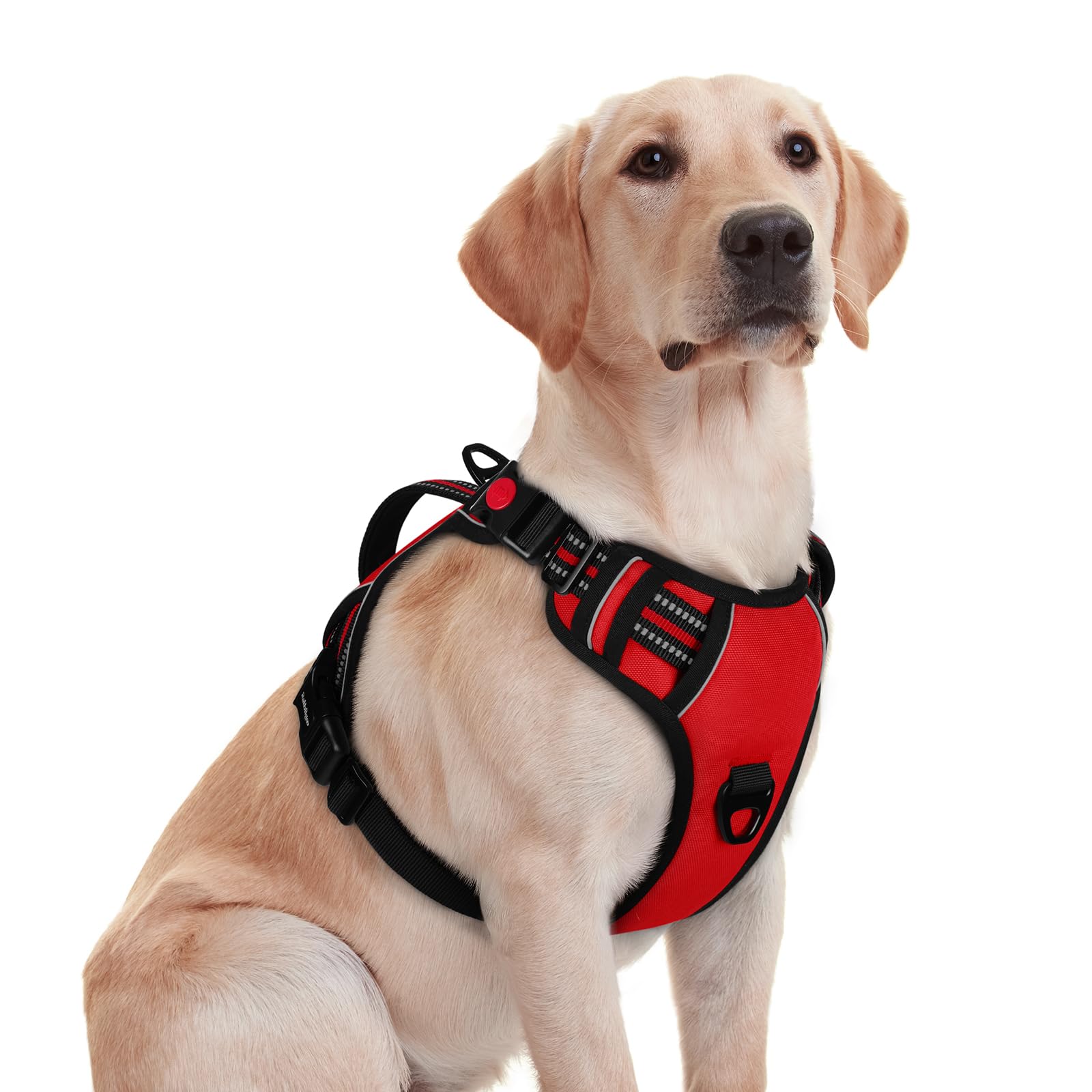 rabbitgoo Dog Harness Medium Sized, No Pull Pet Harness with Soft Padded Handle, Adjustable Reflective Vest with 3 Buckles, Easy Walking Harness with 2 Leash Clips, Red, M