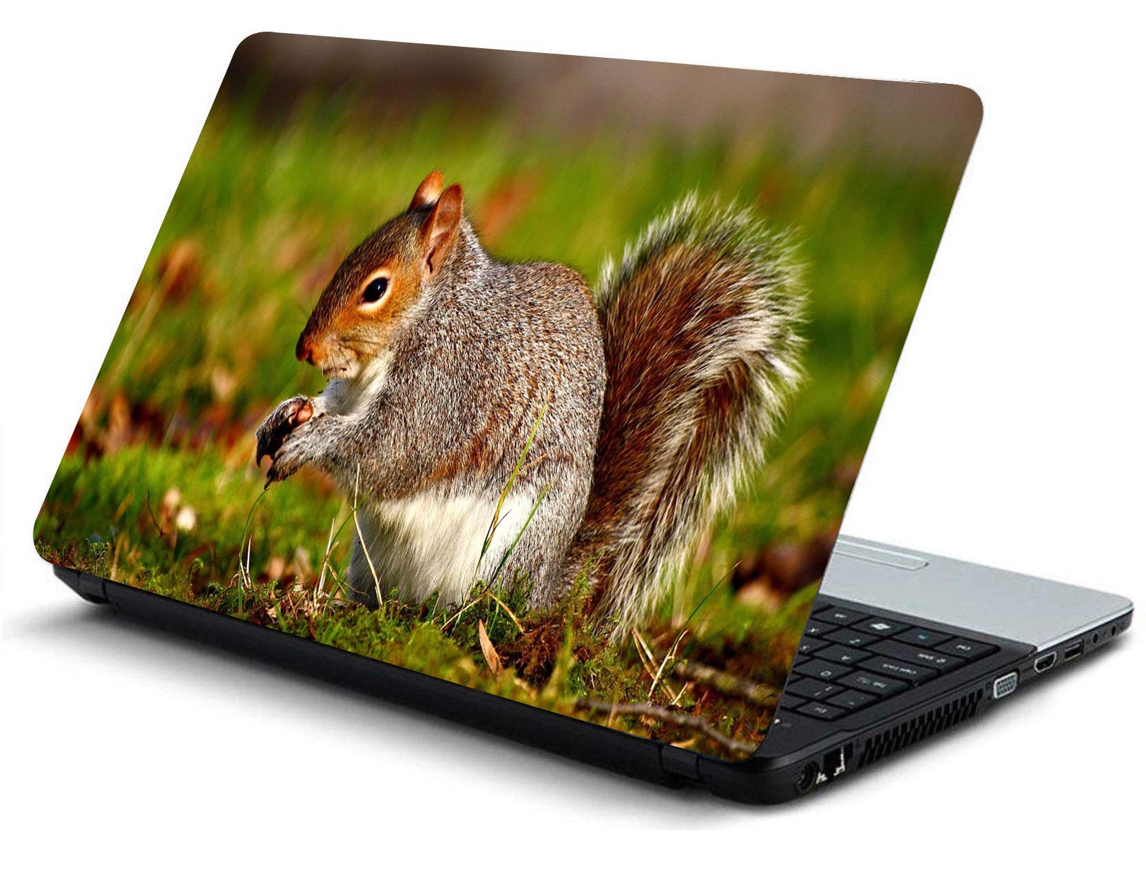 ISEE 360® Laptop Skin Cover Laminated Animal Squirrel Stickers and Free Track pad Skin Girls Boys Kids Students Office Vinyl Printed Multicolored HD Quality Sticker 15 15.6 Inches (B08QMCSZDV) Amazon Price History, Amazon Price Tracker