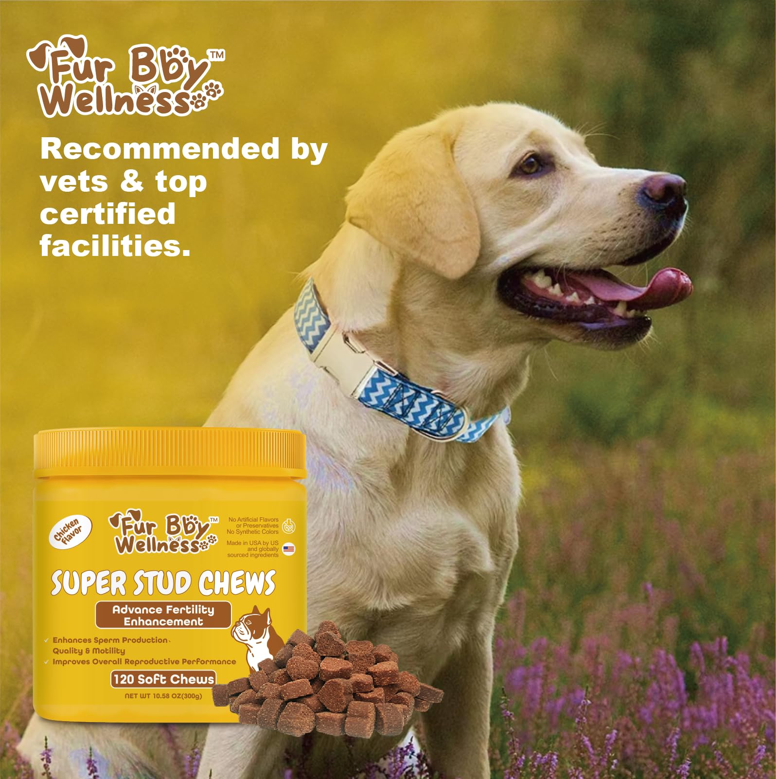 Reproductive Health Supplement for Dogs - Fertility & Breeding Support Soft Chews with L-Carnitine, Zinc, Ginseng & Vitamins - Boosts Reproductive Cells, Testosterone & Vitality - 120 Count — Amazon image 6