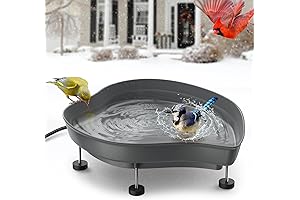 Heated Bird Bath: Winter Haven for Feathered Friends