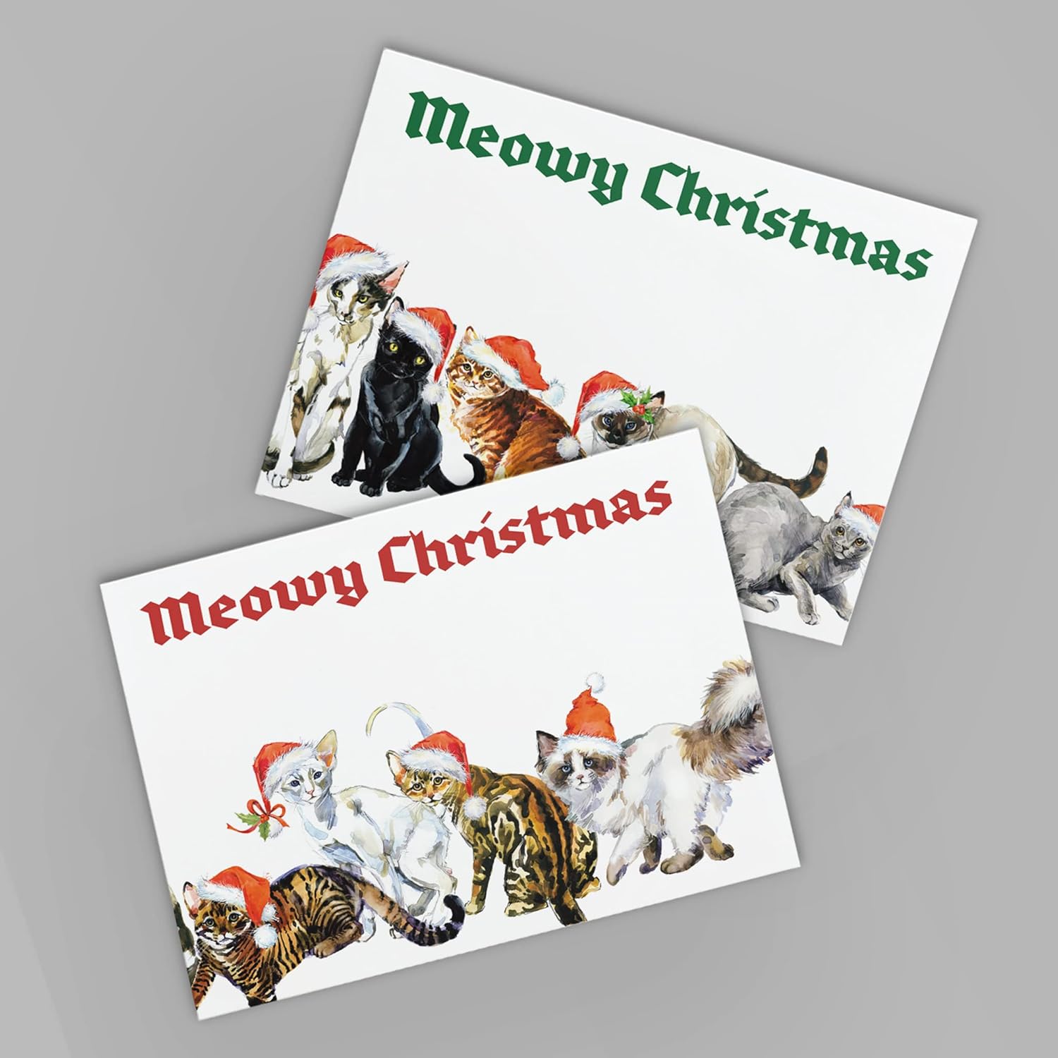 Ritzy Rose 24 Meowy Cat Christmas Cards in 2 Fun Illustrations + Envelopes
