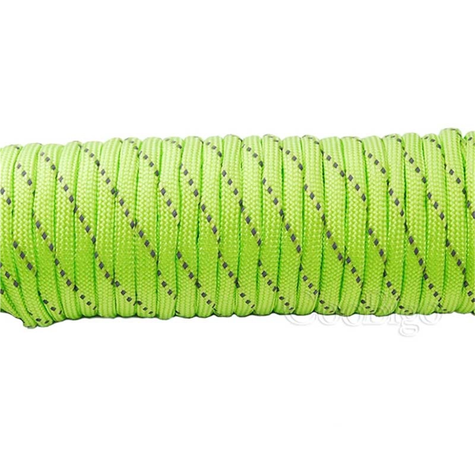 Paracord 1pcs Reflective Paracord Rope Dia.4mm for Survival Parachute Cord Lanyard Camping Climbing Hiking Clothesline(C5,20 Ft)