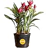 Product Photo 1
