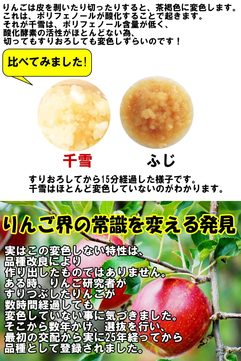 Amazon.co.jp: 青森 りんご 3kg箱 千雪 ご家庭用/訳あり 林檎 3キロ箱