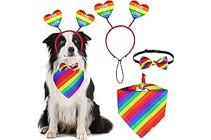 3 PCS Prideful Pup Outfit: Embracing the Colors of Love
