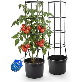 BigDean Tomato Pot with Trellis XL with Water Reservoir and Self-Watering for Balcony and Terrace Pack of 2