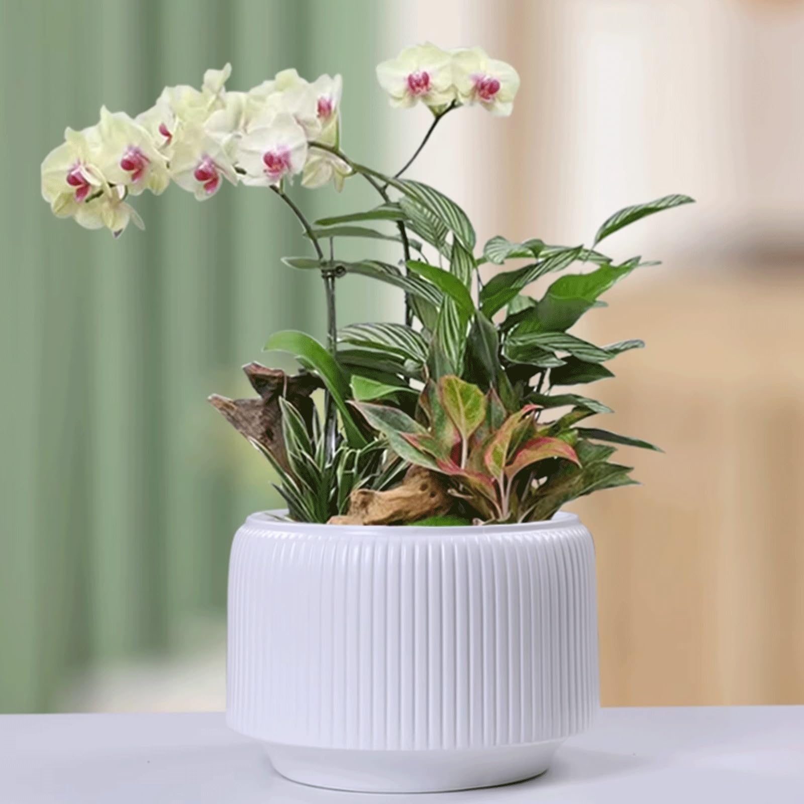 Dekoracyjna ceramiczna doniczka do orchidei z otworem drenażowym, nowoczesna okrągła donica z szerokim otworem, doniczka na sukulenty do wnętrz, do salonu, dekoracji domu, na taras (biała, CH)