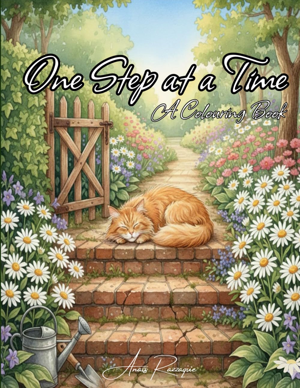 One Step at a Time