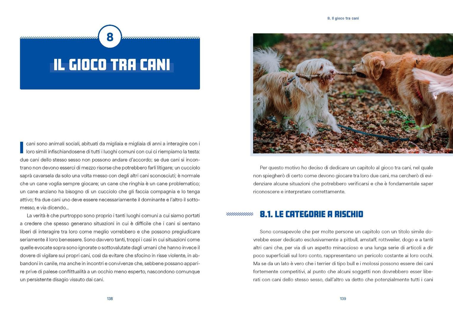 Giochiamo? Il primo manuale sul gioco dal punto di vista del cane