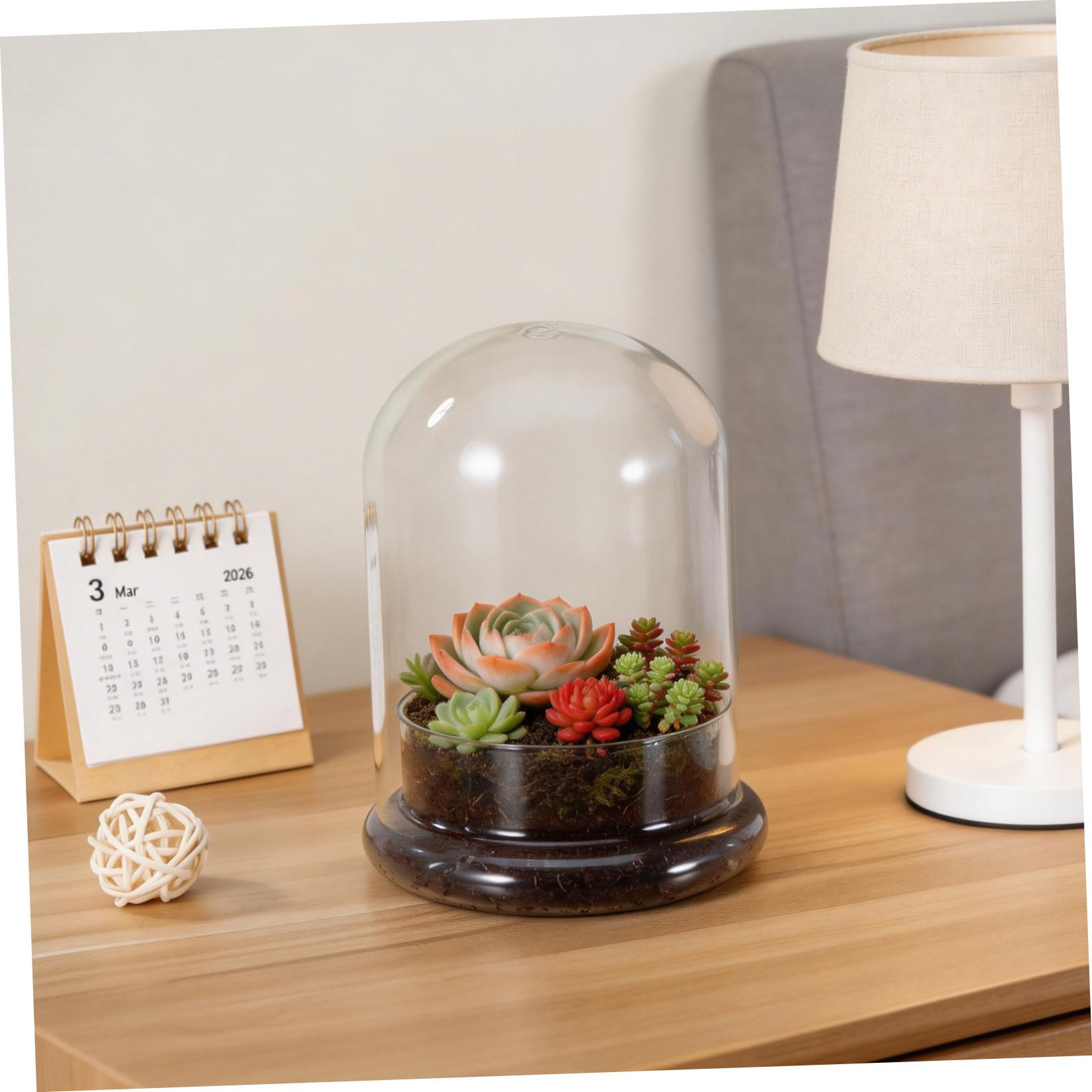 Botella de Vidrio para Micropaisaje Musgo, Resistente Sequía y No se Deforma, Adecuado para Decoración de Sala y Dormitorio Estilo Cálido y Moderno