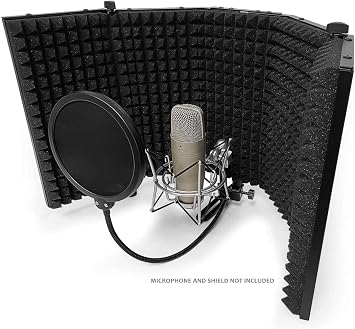 AxcessAbles 6 Inch Dual Layer Studio Microphone Pop Filter for Isolation Shield, Pop Blocker with 14 Inch Gooseneck for Blue Yeti Mic, AT2020, Recording Studios. Mic Pop Guard