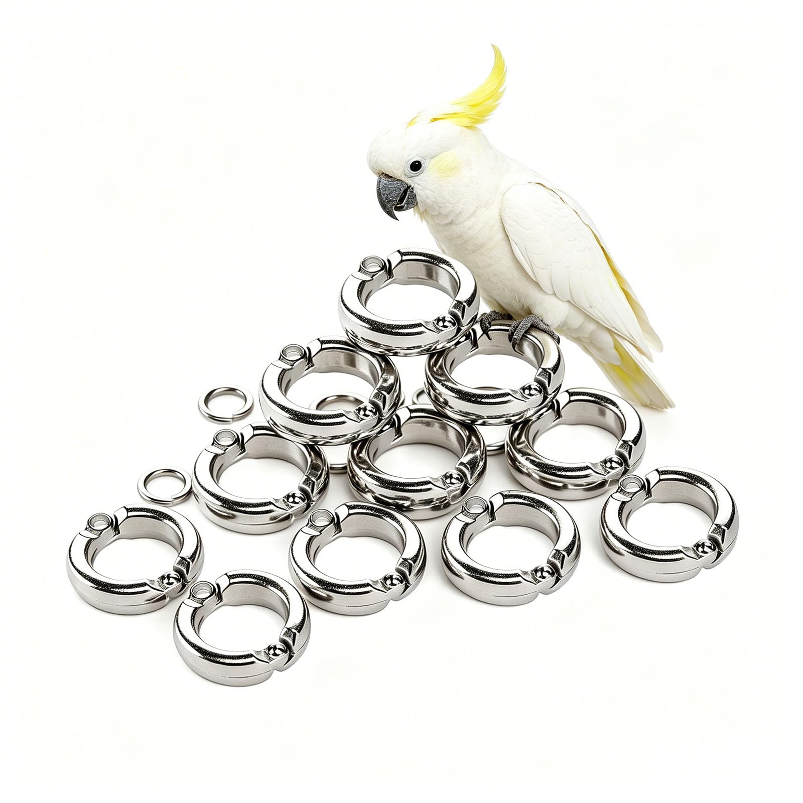 Anelli per Piedi per Uccelli Clip di Apertura durevoli a Forma di U per pappagalli, Ara, Cenerini africani, Pappagallini, Calopsitte 100 Pezzi 12mm