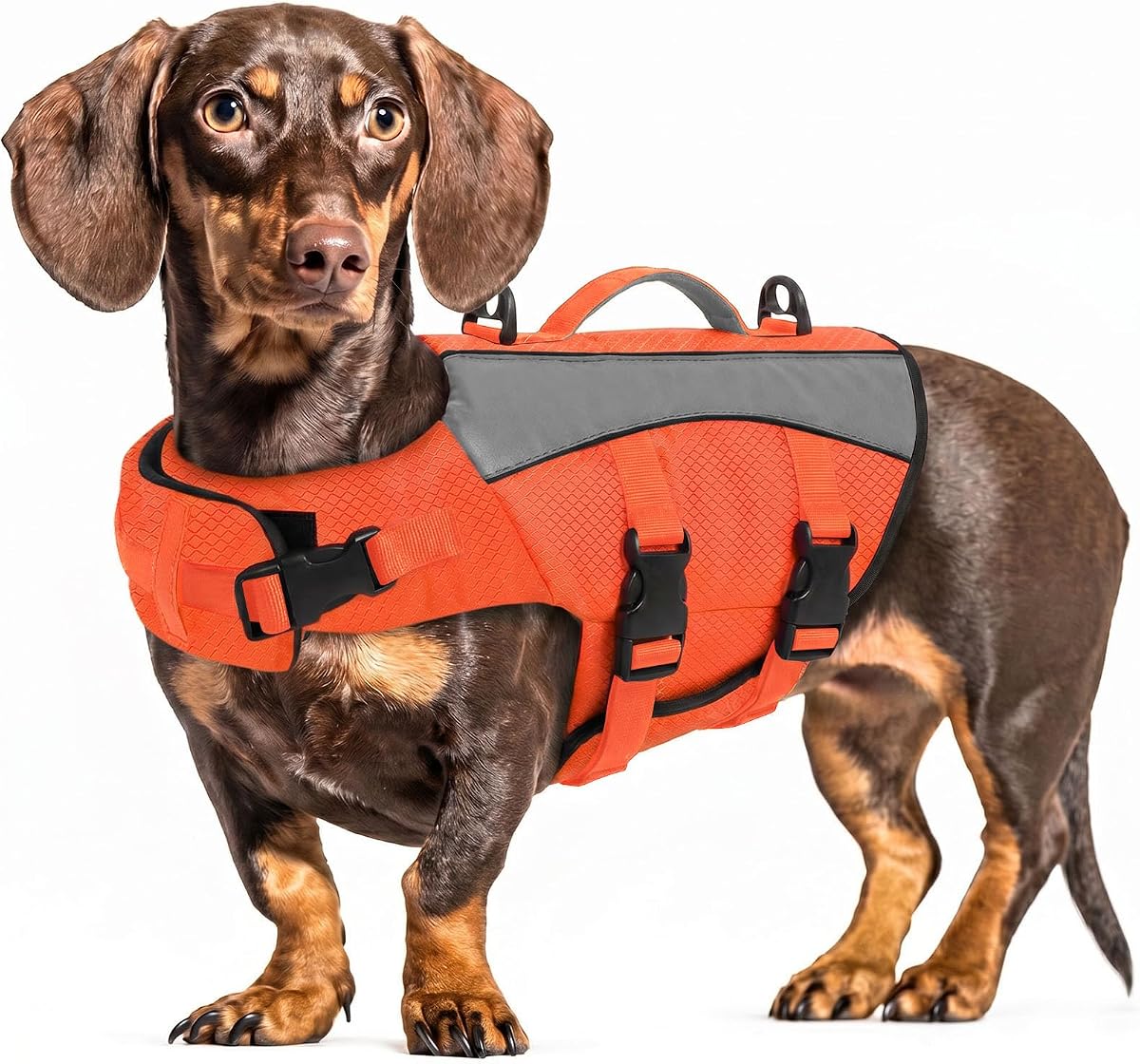 Queenmore Small Dog Life Jacket for Dachshund, Reflective Dog Swim Vest