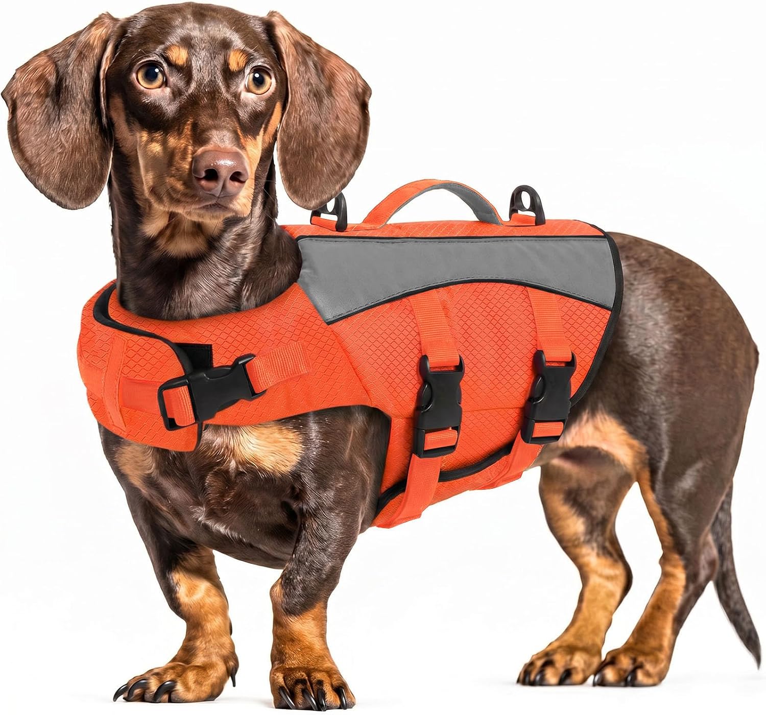 Dog Life Jacket for Dachshund, Adjustable Medium Dog Swim Vest | Ripstop Doggy Life Vest with Durable Rescue Handle, Puppy Swim Vest with Enhanced Buoyancy for Swimming, Orange