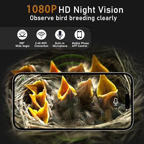 Miniatura 2 de Casa inteligente para pájaros con cámara, cámara HD 2K con energía solar, vista en tiempo real del nido de pájaro y la eclosión, casa inteligente de