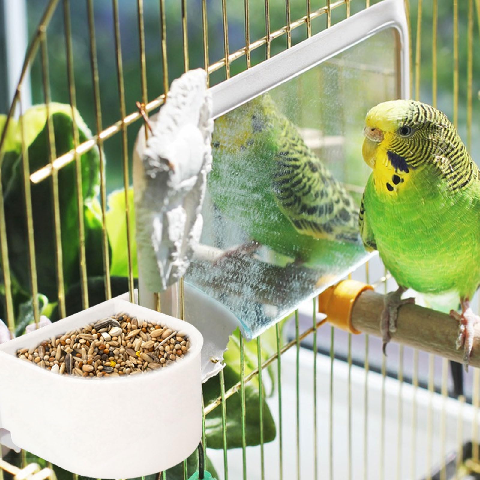 View 7