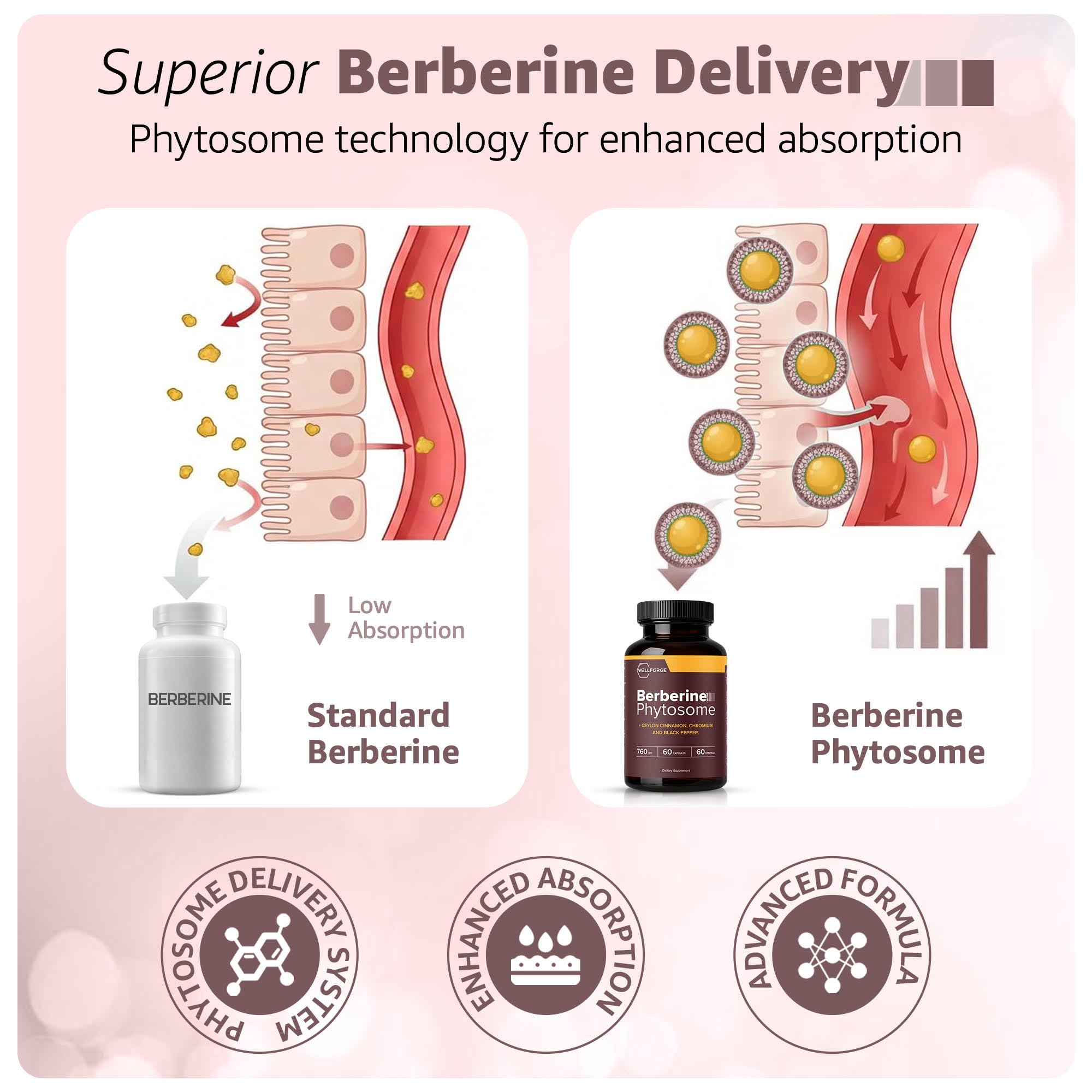 Berberine Phytosome 550mg, 60 Capsules - with Ceylon Cinnamon (200mg), Chromium (200mcg) & Black Pepper Extract (10mg) — Amazon image 3