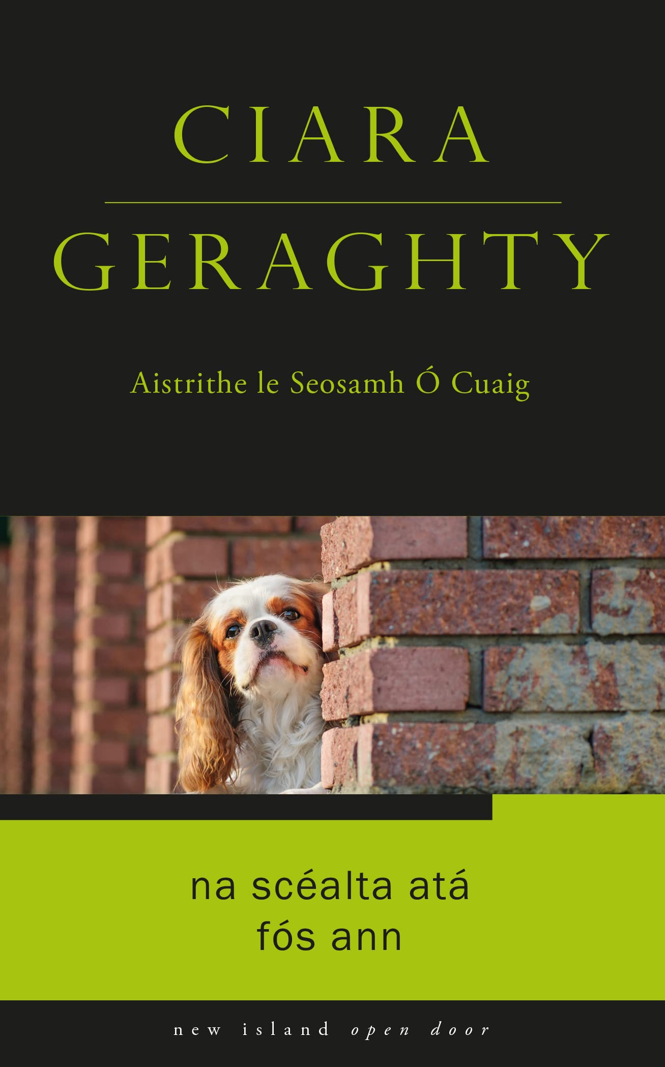 Na Scéalta Atá Fós Ann (Open Door as Gaeilge)