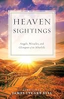 Algopix Similar Product 15 - Heaven Sightings Angels Miracles and