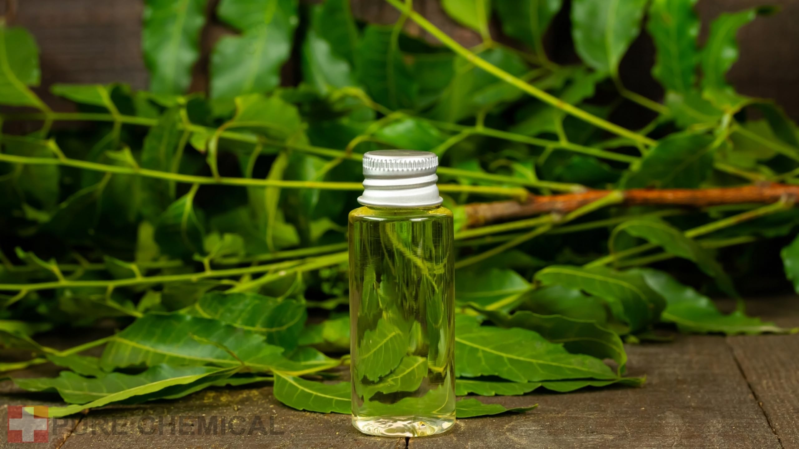CHOSA Olio di Neem Puro 5 litri - Spremuto a Freddo, Non Raffinato, 100% di Purezza - Per la Cura di Ogni Tipo di Pelle e Capelli - Olio di Nem per Piante, Tanica HDPE 5 L con tappo di sfiato