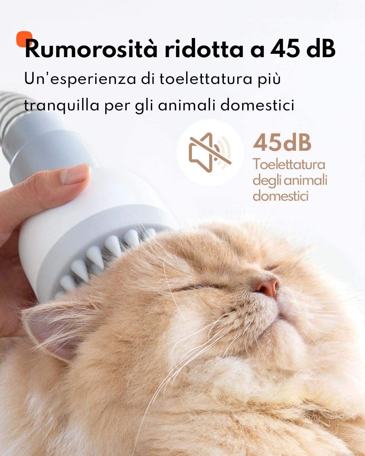 Homerunpet Toelettatura e Aspirazione a Vuoto per Animali Domestici, 12000 Pa Ultra Silenziosa Tosatrice per Cani e Gatto Professionale, Aspira Peli per Cani con 6 Strumenti, 1,85L