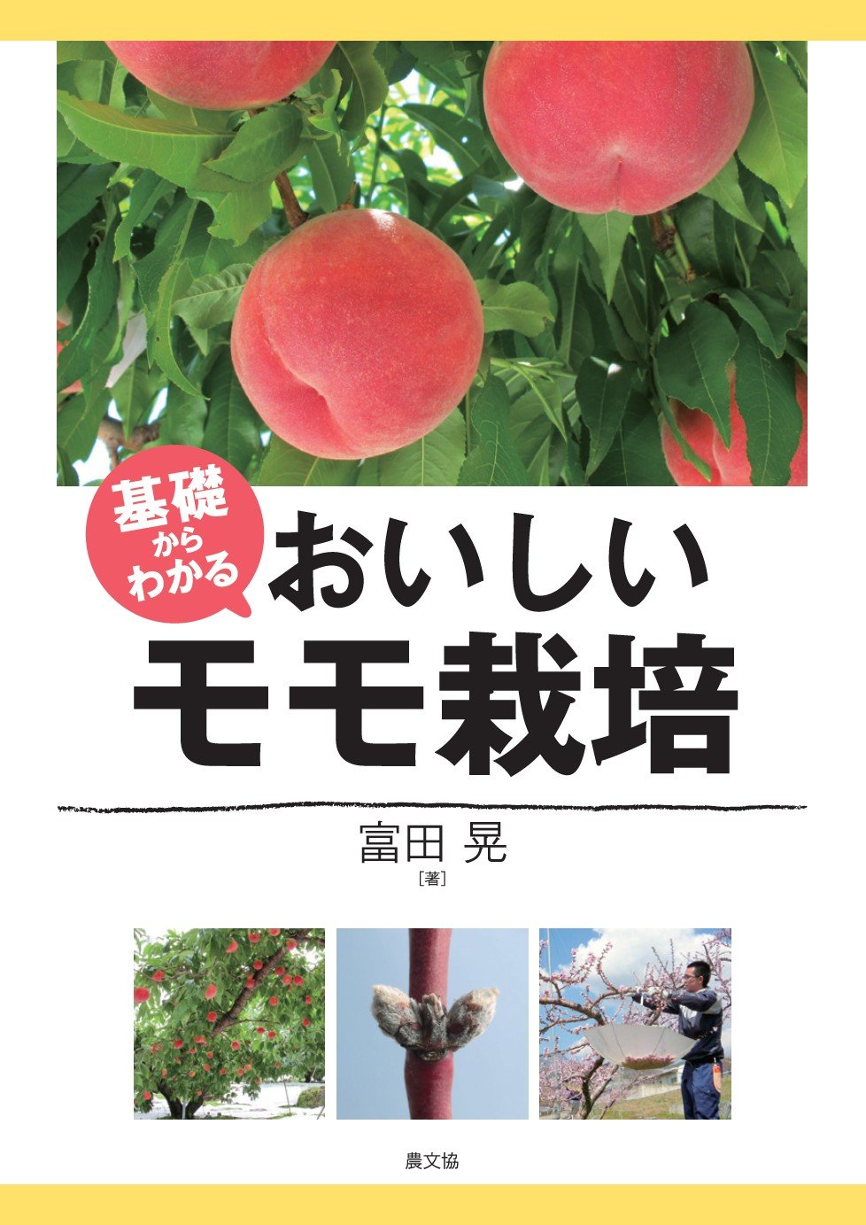 基礎からわかる おいしいモモ栽培 | 富田晃 |本 | 通販 | Amazon