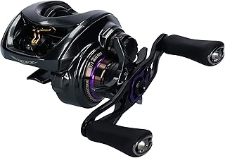 ダイワ(DAIWA) ベイトリール 19 スティーズ CT SV TW (右/左ハンドル) (2019モデル)