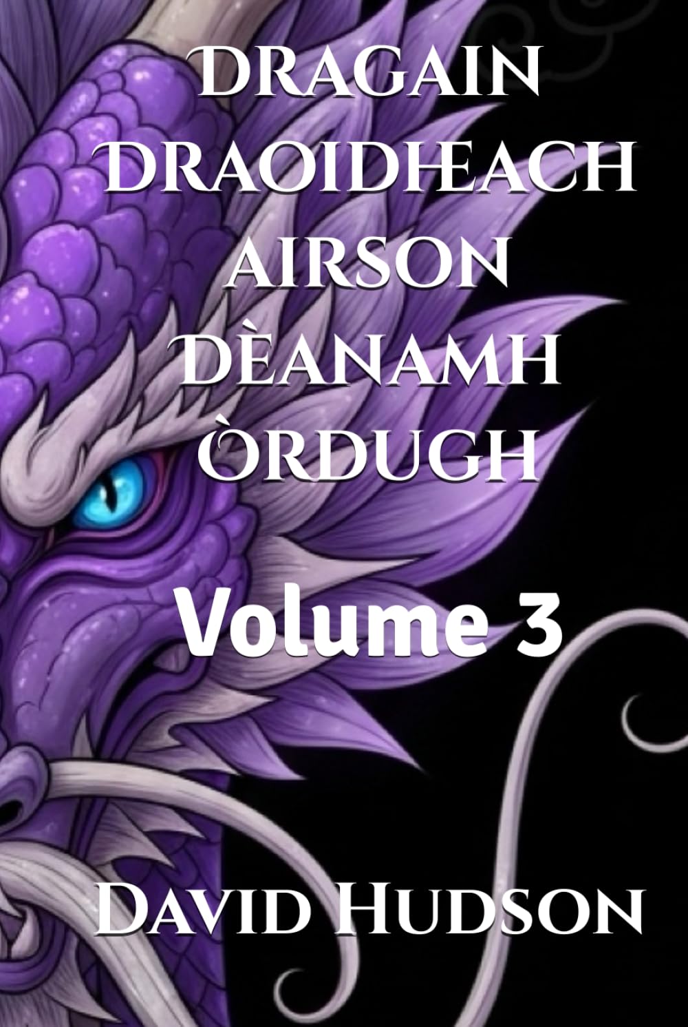 Dragain Draoidheach Volume 3 récit captivant sur l'art des dragons