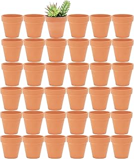 Sponsored Ad - Yishang 2.5 inch Terracotta Pots with Drainage Holes,Small Mini Clay Ceramic Pottery Planter,Cactus Flower ...