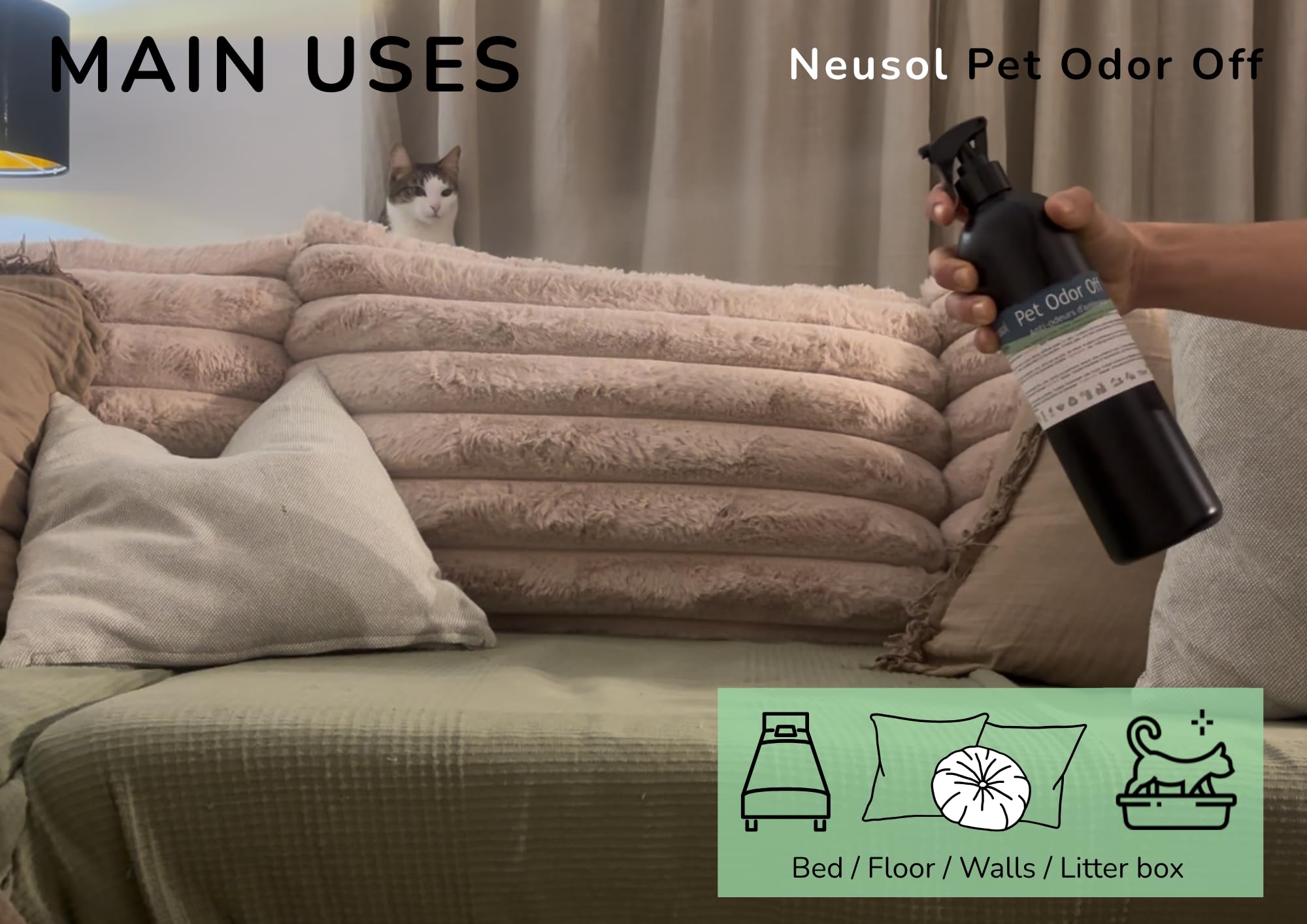 Pet Odor Off - Naturalny neutralizator | Usuwa zapachy zwierząt: mocz, wymioty, odchody itp. Na podłogach, ścianach, tekstyliach, trawnikach itp. | Bezpieczna formuła bez CLP i zapachu - 2