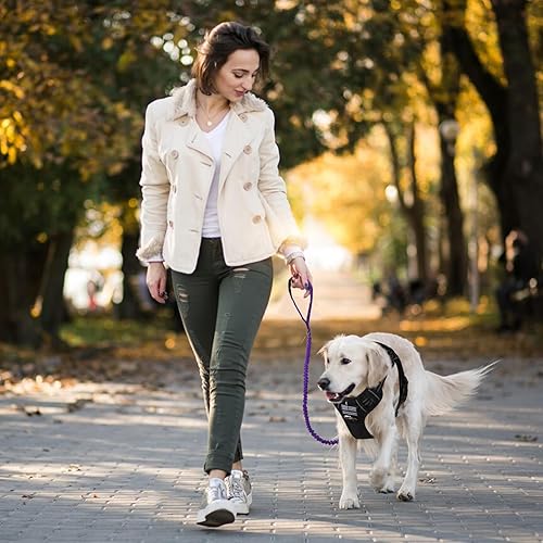 Miniatura 25 de BUMBIN Correa elástica para perro de 6 pies, correa elástica para perro con 2 asas, correas resistentes para perros medianos y pequeños, sin