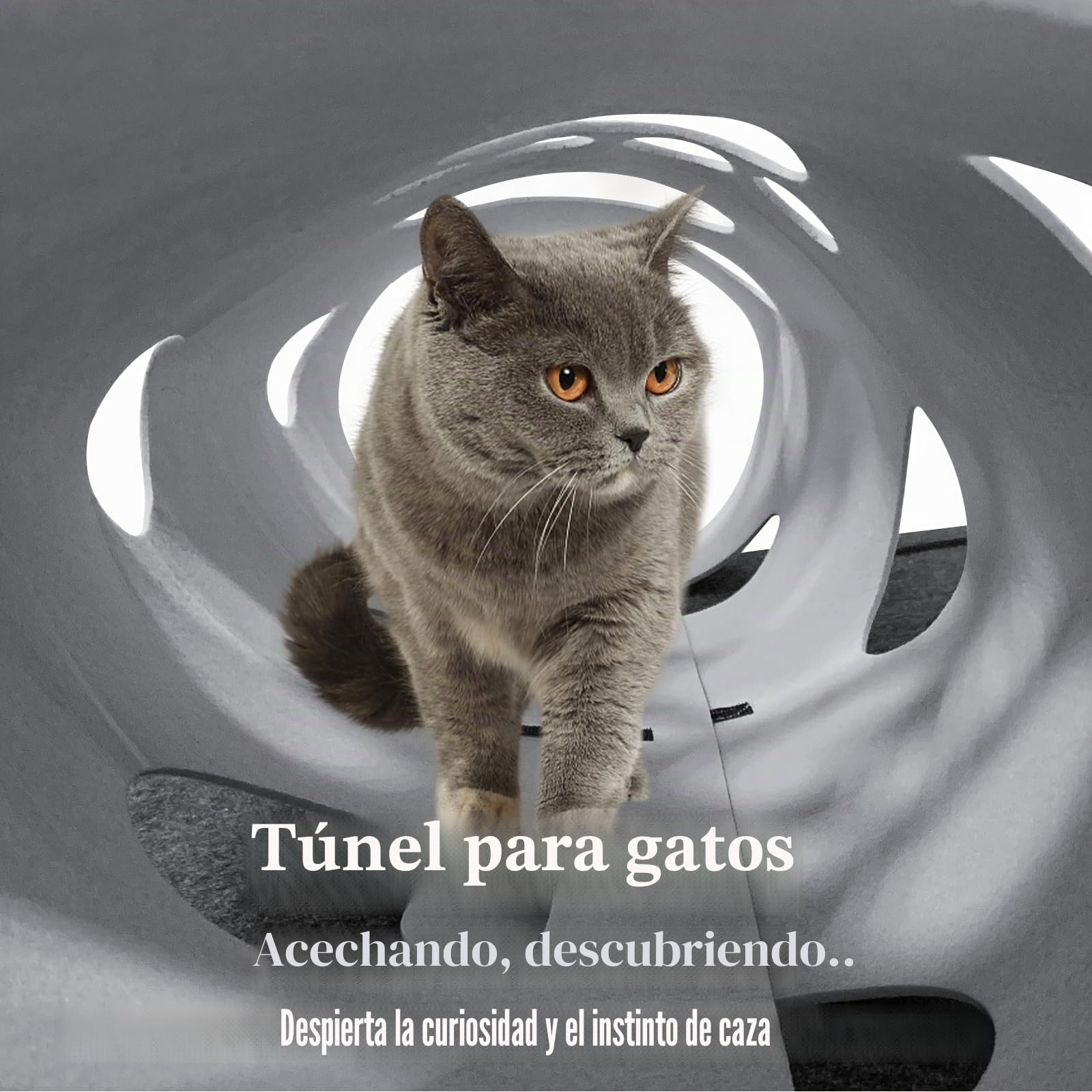 Juguete para gatos y alfombrilla para rascar, túnel de fieltro para gatos, túnel de juego y esterilla para dormir, para jugar de forma inteligente con .Número de patente: No 015084058-0001