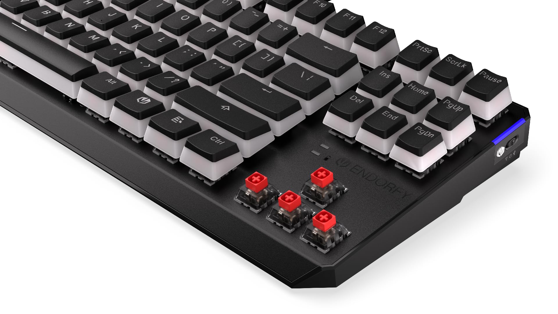 ENDORFY Thock TKL Wireless Red Pudding, tastiera meccanica TKL wireless, QWERTY, switch Kailh Box Red, retroilluminazione RGB, keycaps in PBT Pudding, EY5A119
