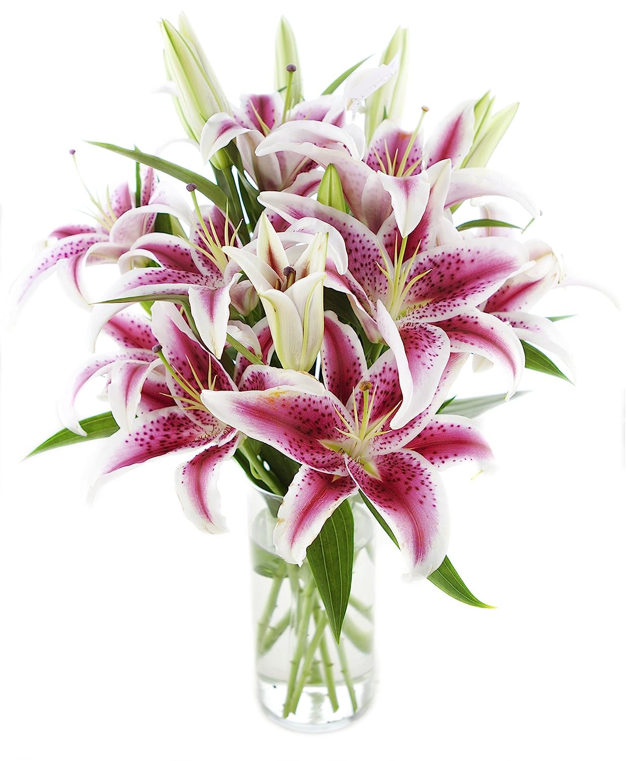 KaBloom PRIME OVERNIGHT DELIVERY - Mother’s Day Collection - Whispering Bouquet of 13 Pink stargazer lily With Vase.Gift for Birthday, Get Well, Easter, Valentine, Mother’s Day Fresh Flowers