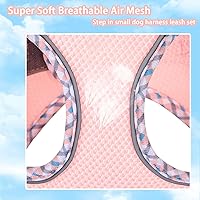 Vista 3 de Lindo arnés a cuadros para perros pequeños, de malla suave, arnés y correa para perros pequeños, arnés y correa para perros pequeños, chaleco