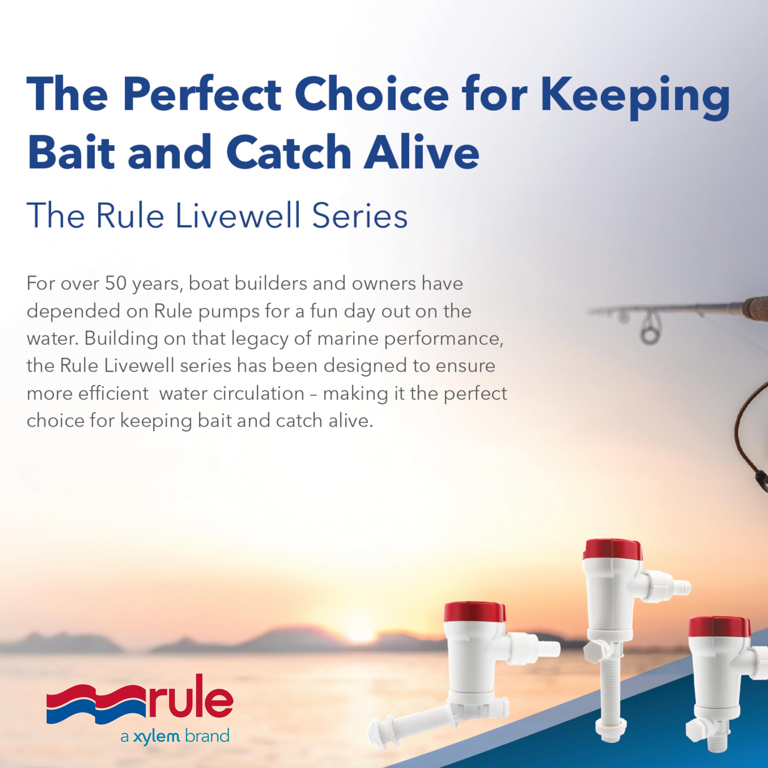 Rule 601FC, bomba Livewell, 12 V, 500 GPH, pavo real recto
