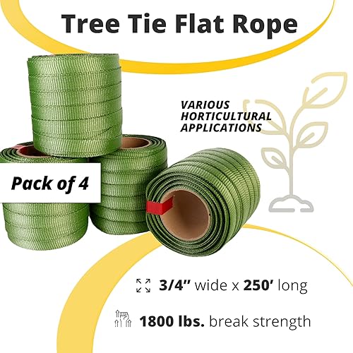 Miniatura 2 de IDL Packaging Cuerda plana para atar árboles de 3/4 pulgadas x 250 pies, resistencia a la rotura de 1800 libras, verde (paquete de 4) - Correas