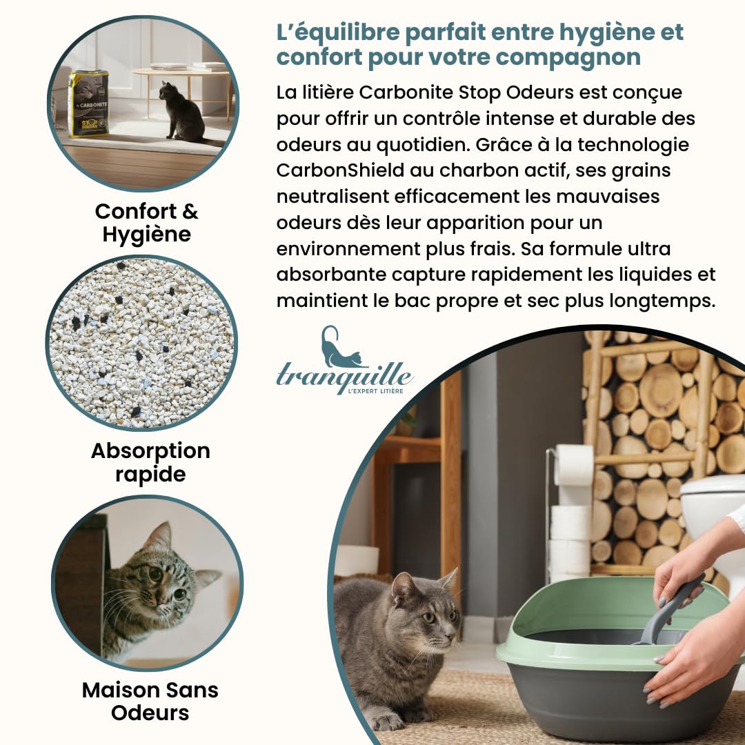 Tranquille - Litière pour Chat - Carbonite Stop Odeurs (4x5L) | Litière Agglomérante Charbon Actif Carbon Shield | Ultra Absorbante, Agglomérante & Anti-Poussière | Contrôle Odeurs