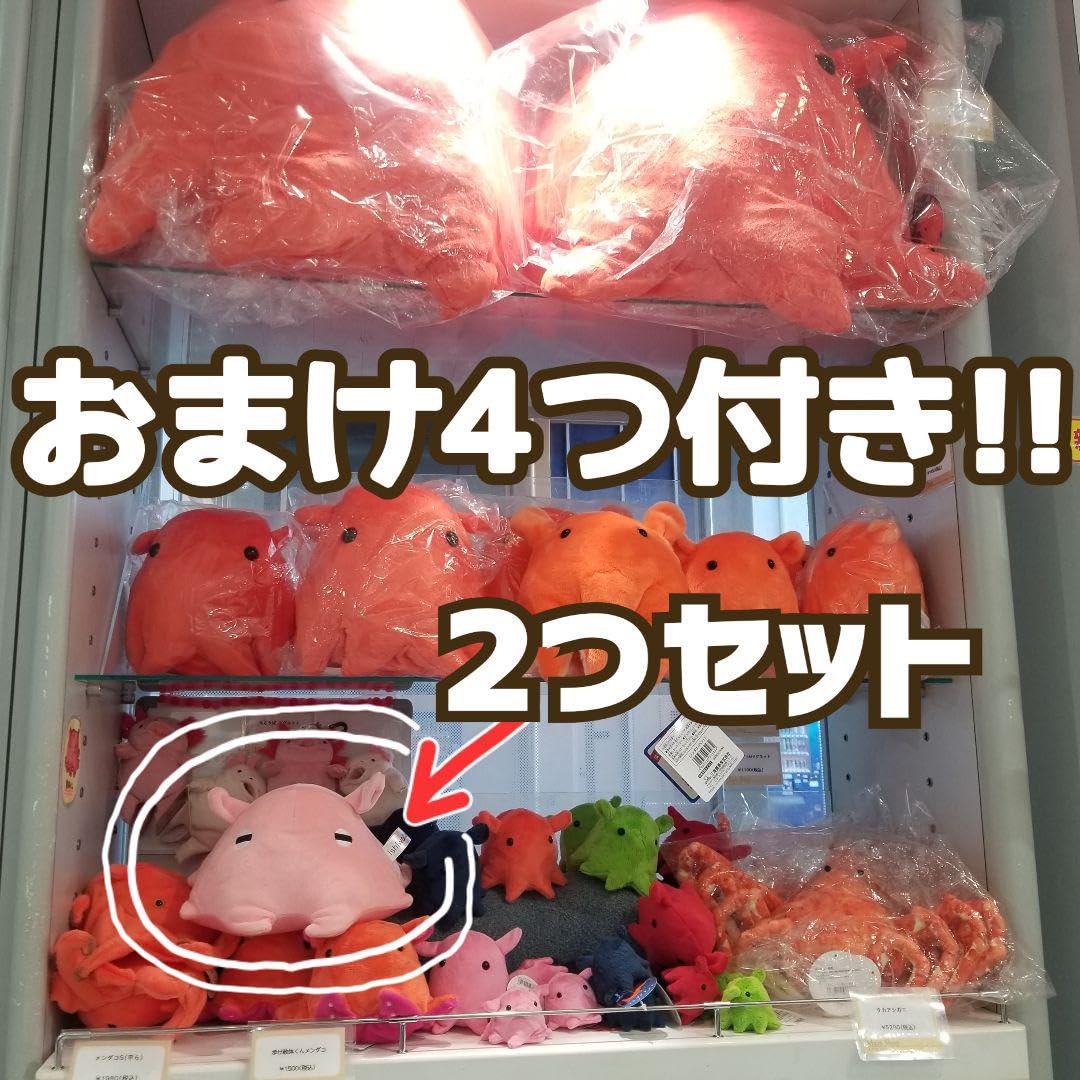 Amazon.co.jp: メンダコくじぬいぐるみ2点+おまけ4点…えのすい