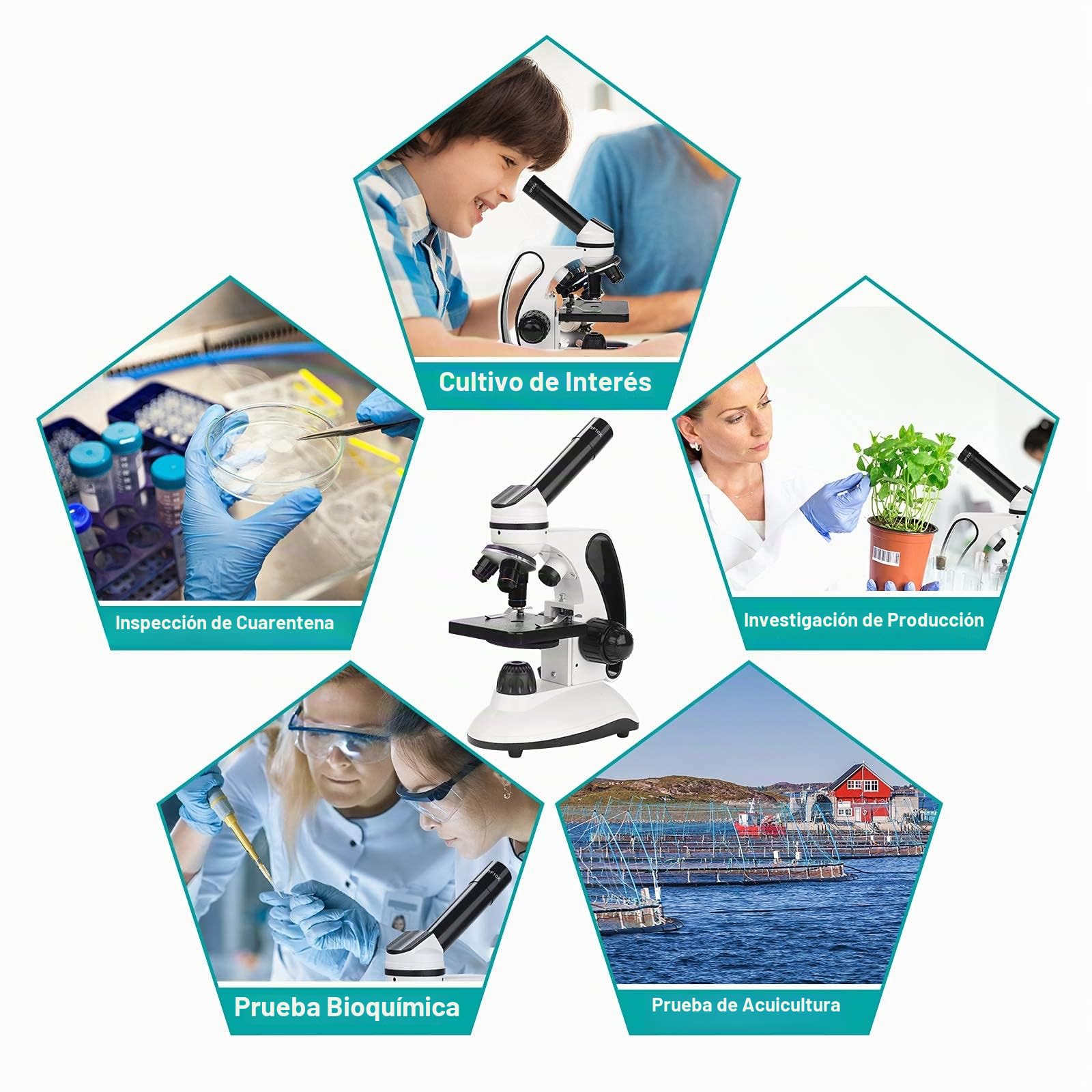 Microscopio para Niños 40X-2000X Microscopio Profesional, con Adaptador de Teléfono, Juego de Portaobjetos de Microscopio para Laboratorio Escolar, Hogar, Investigación Científica Biológica