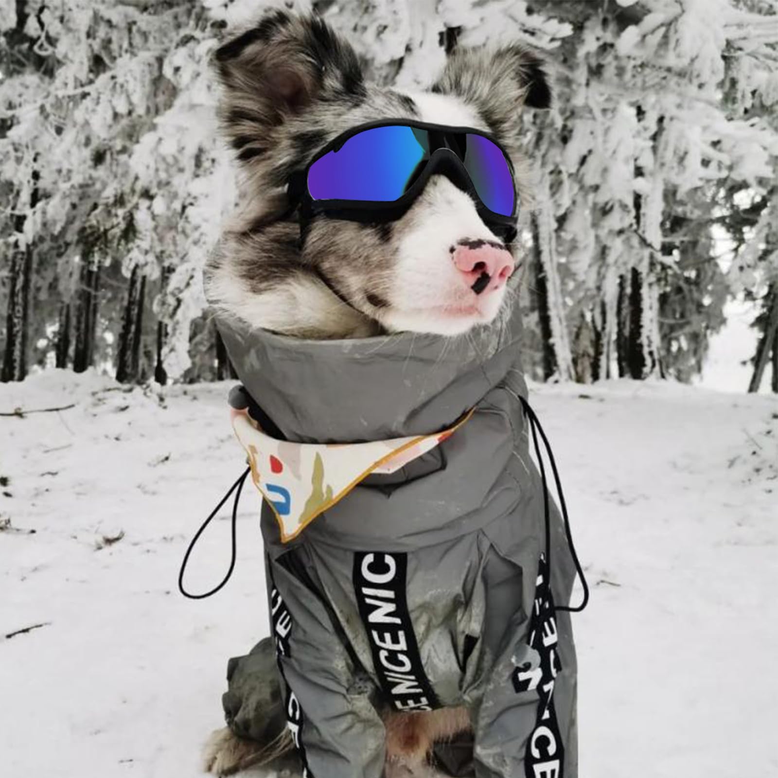 2Stück Hundebrille, Brille Hund UV-Schutz, Winddicht Hunde Brille, Sonnenbrille Hund mit Verstellbare Riemen, Hundesonnenbrille für Mittel Große Hunde, zum Autofahren,Outdoor-Aktivitäten,Farbe