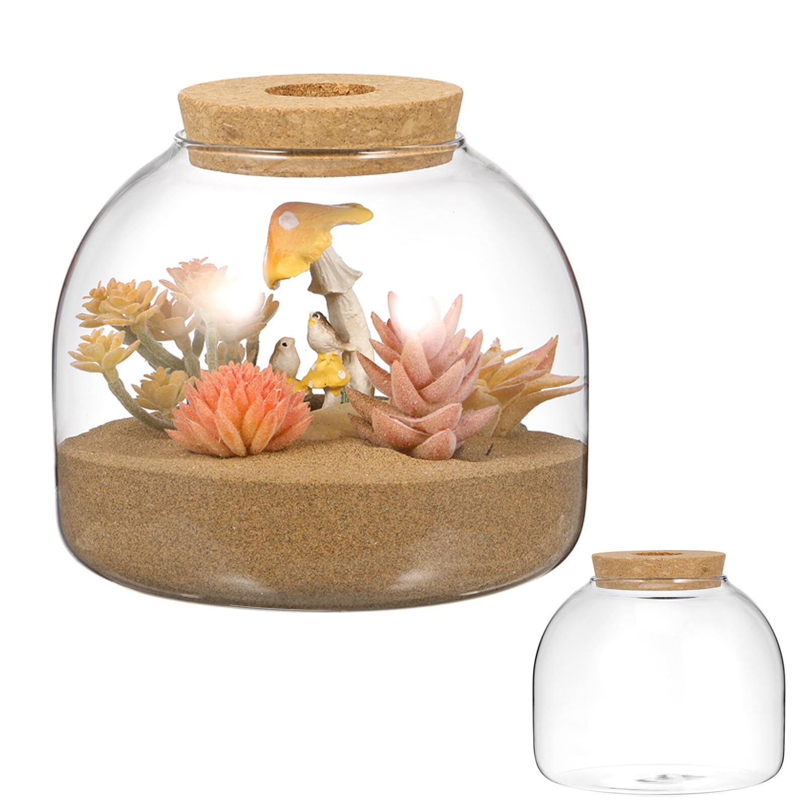 DECHOUS Glass Terrarium with Cork Lid, Round Terrarium Vase for Moss