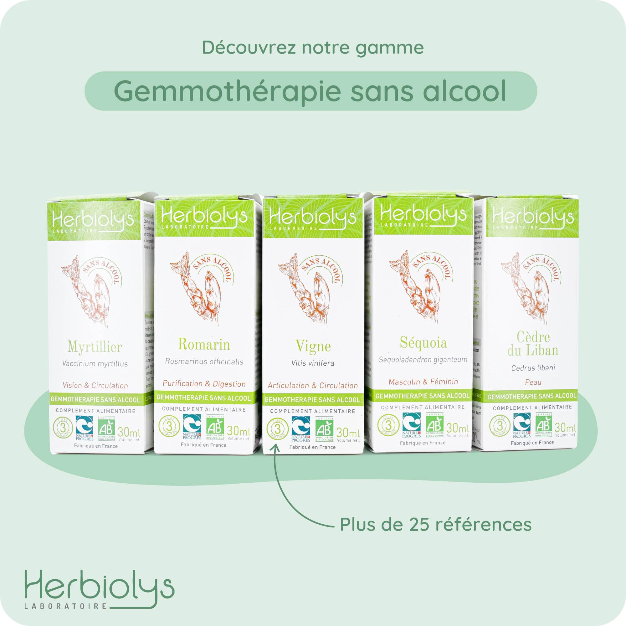 Herbiolys | Macérat de bourgeons sans alcool | Figuier (Ficus carica) | Stress & Digestion | Gemmothérapie Bio | 30 ml