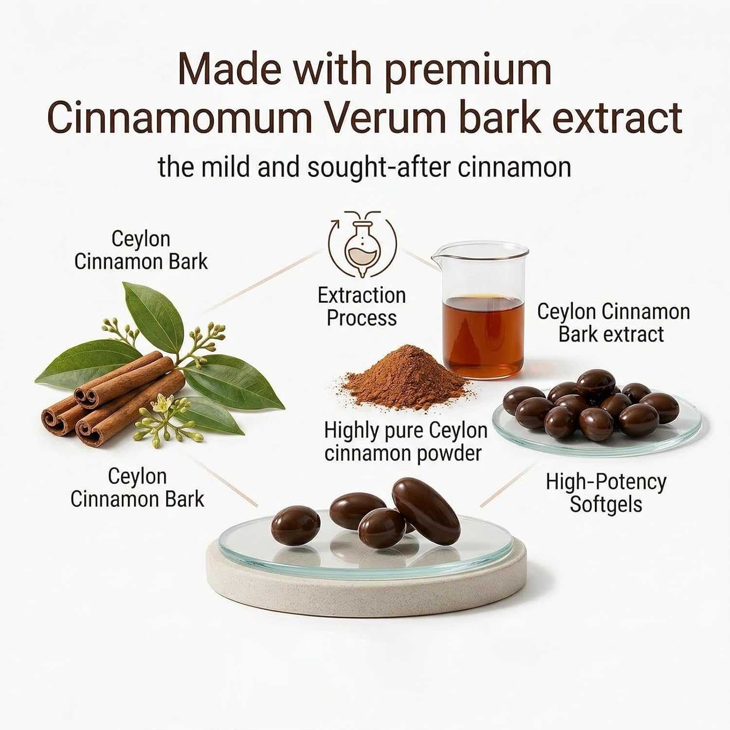2026 New El-orita Ceylon Cinnamon Softgels con olio MCT, 300 softgel, vero integratore di cannella di Ceylon, non OGM, senza glutine, delicato supporto quotidiano per il benessere (2 pezzi)