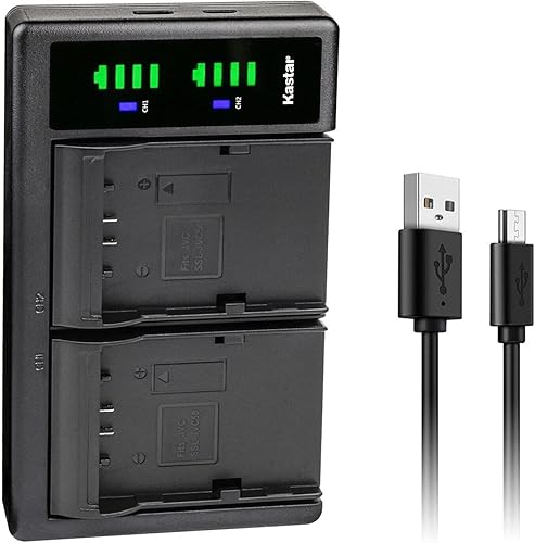 Kastar Reemplazo del cargador de batería USB SSL-JVC70 LTD2 para JVC SSL-JVC50, JVC SSL-JVC70, JVC SSL-JVC75, JVC BN-S8I50 batería, serie de