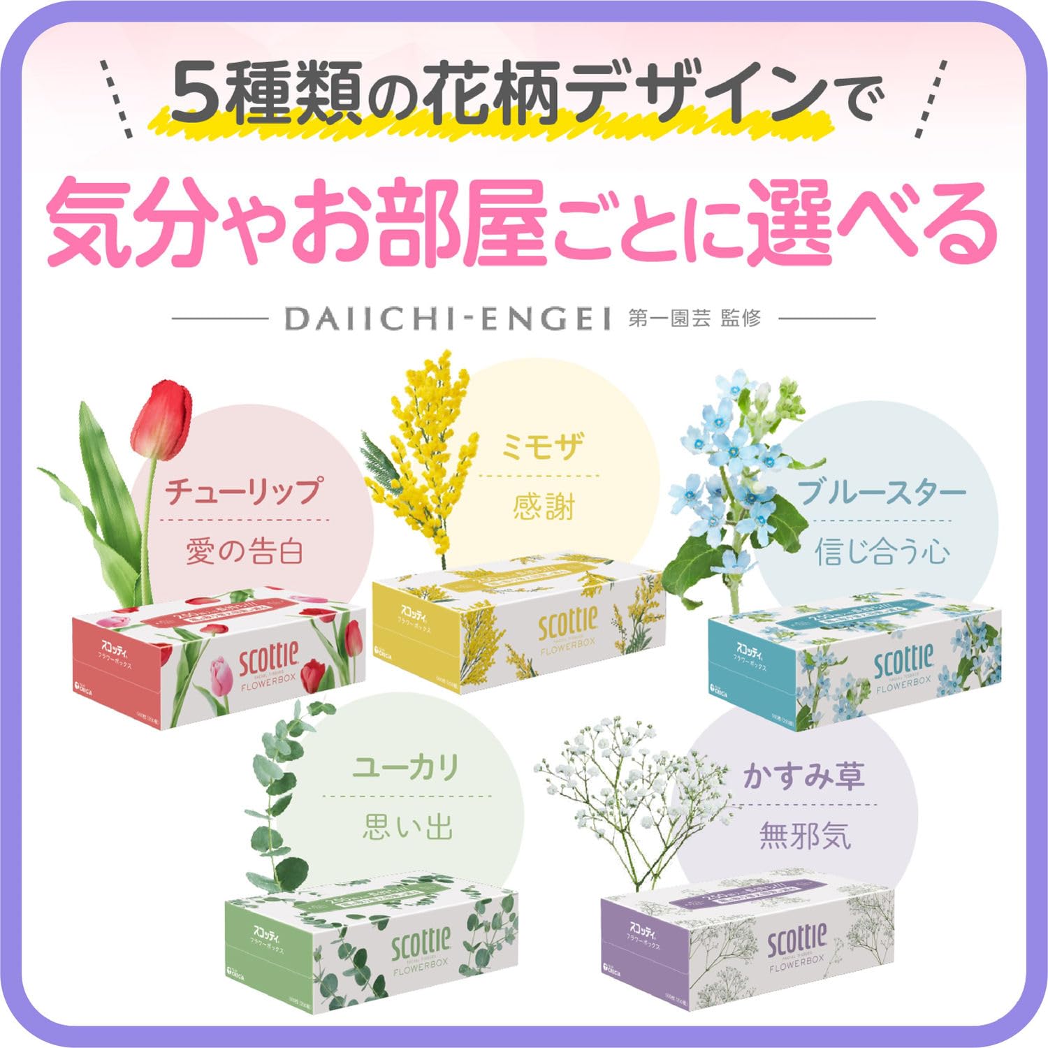 Amazon.co.jp: ティッシュ 長持ち 500枚(250組) 60箱 スコッティ