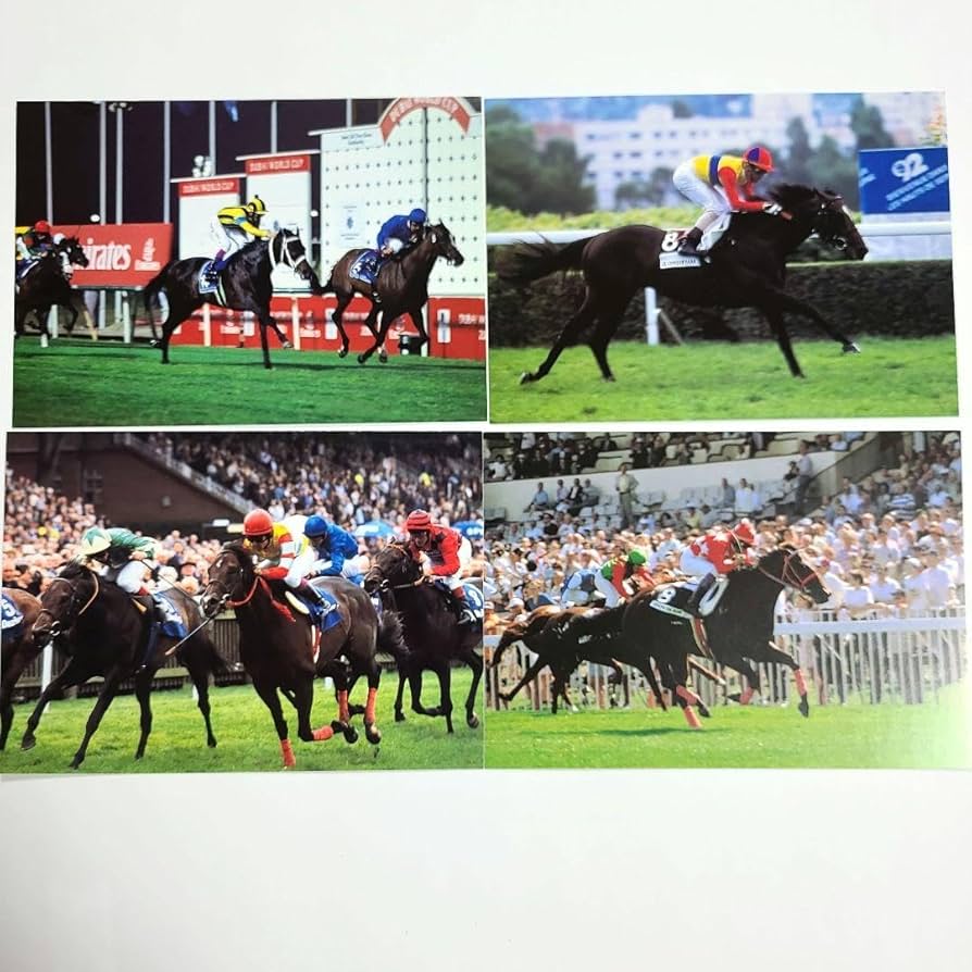 抽プレサラブレッドカード・エルコンドルパサー 抽プレサラブレッドカード・エルコンドルパサー Yahoo