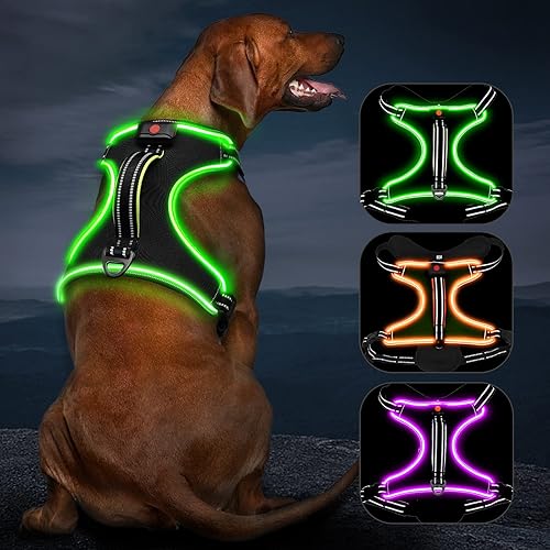 Arnés para perro con luz LED sin tirones con asa, arnés de chaleco con luz recargable para perros pequeños, medianos y grandes, tamaño grande, arnés