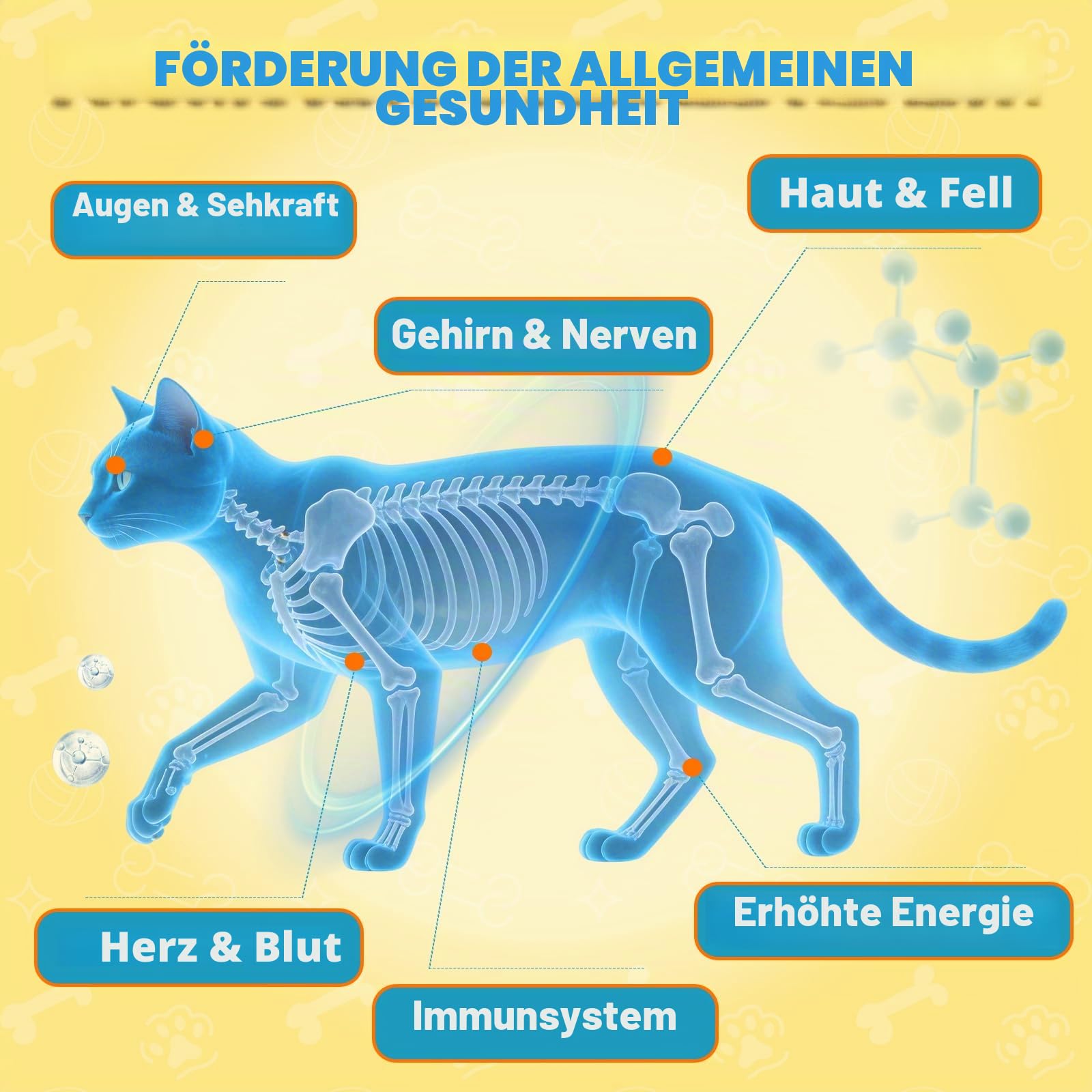 Taurin für Katzen Tropfen - Taurin Ergänzungsmittel für Katzen Unterstützt Felina Herz & Immunfunktion, Sehkraft, Energie & Vitalität L-Carnitin, L-Carnitin, Coenzym Q10, Omega3, L-Arginin, Vitamin | L-Carnitin, L-Arginin, Coenzym Q10, Vitamin, Taurin-Flü