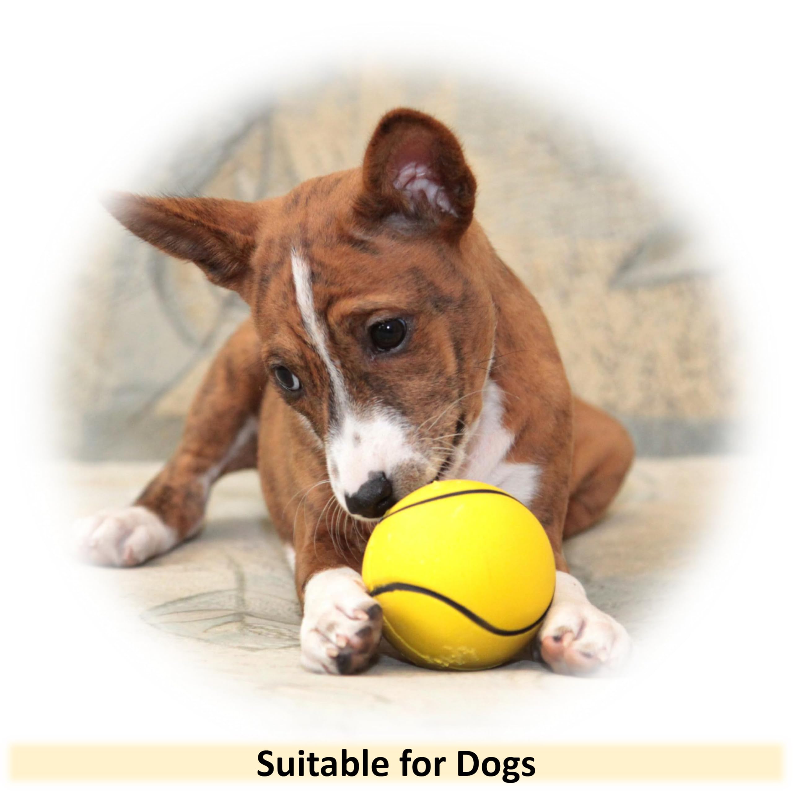 Lot de 16 balles flottantes en caoutchouc pour chien - 6 cm - Jouet flottant à rebond élevé - Noyau solide - Éponge - Jouets interactifs pour chiots, chiens de petite et moyenne taille